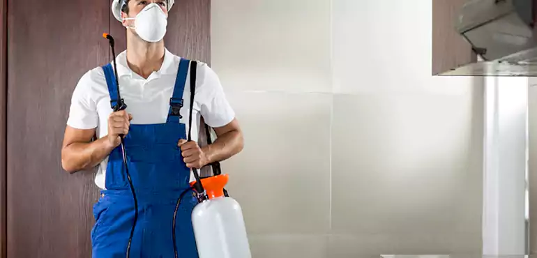 Why Springfield Homeowners Choose Us When Pests Make Selling Difficult