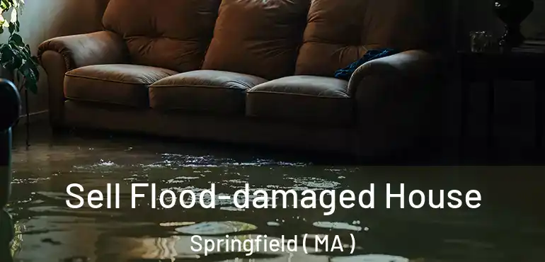  Sell Flood-damaged House Springfield ( MA )