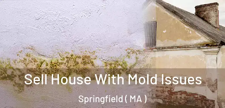  Sell House With Mold Issues Springfield ( MA )
